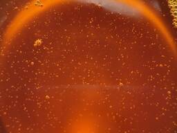Сира соєва олія / Crude soybean oil