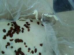 Сыркова масса с изюмом оптом