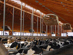 Системи охолодження та вентиляції корівників