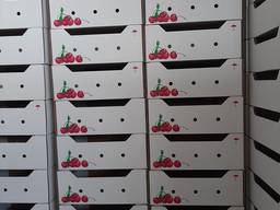 Тара под черешню 6кг, 8кг, 12кг