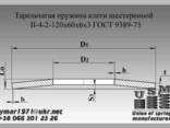 Тарельчатая пружина клети обжимной II-4-2-250х100х12х6. .. - фото 3