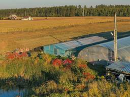 Тепличное хозяйство, 2Га земли, озеро, 27 км от Киева, 50кВт мощности.