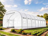 Теплиця-парник Funfit Garden 24 м² (8х3х2 м) — Армована плівка UV-4, 16 вікон. .. - фото 1