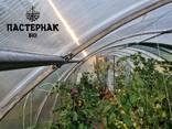 Теплиця. Теплиці від виробника. Оцинковані - фото 8