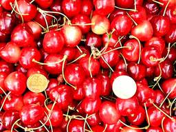 ТЕРМІНОВО!!! Продам дуже якісну черешню з власного саду