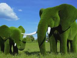 Изготовление каркасных скульптур из искусственного газона