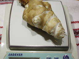 Топінамбур відбірний Великий митий для їжі Від діабету