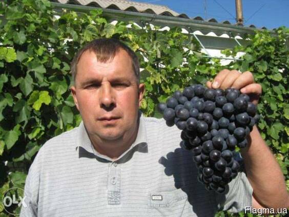Топливо дт 500 литров
