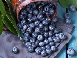 Торф для голубики Киев Торф кислый продажа Киев Верховой торф продажа