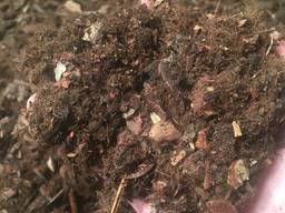 Торфяной субстрат ( для высадки голубики)