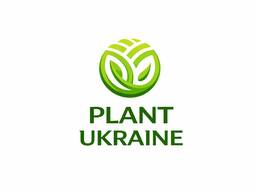 Труба сталева шовна Ø630×10 мм | Ст3 | Великого діаметра
