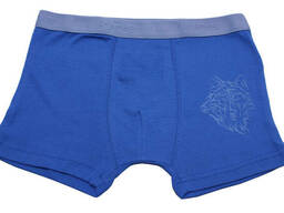 Трусы для мальчиков Валери-Текс 1064-55-418-007-1 р. 52. ..