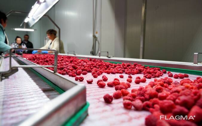 Цінспекційний конвеєр для ягід