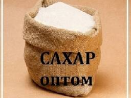 Цукор і борошно в Дніпрі — прямі поставки.