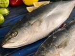 Тунец желтоперый тушка - фото 2