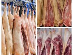 Туші свинячі