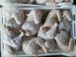 Тушка бройлера.