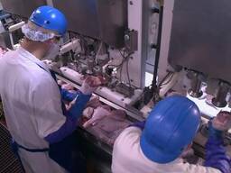 Тушка курина Halal калибром 0,9-1,5 кг