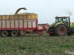 Уборка кукурузы на силос покос травы сенаж корм