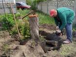Уборка территории, Вывоз Мусора Спил Деревьев Расчистка Участков - фото 3