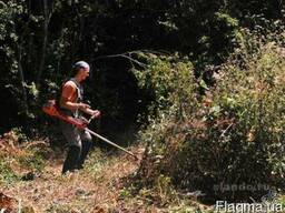 Уборка участков спиливание деревьев в Одессе