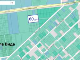 Участок 60 соток.