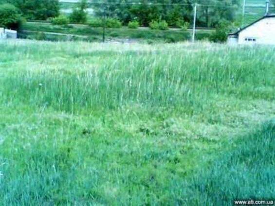 Участок в Гостомеле ,недорого