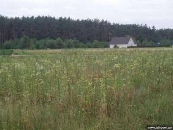 Участок в Воронькове Под лесом