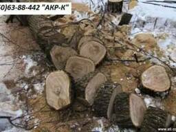 Спилить дерево Киев.