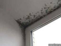 Удаление грибка, плесени.