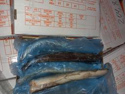 Угорь ( Испания)