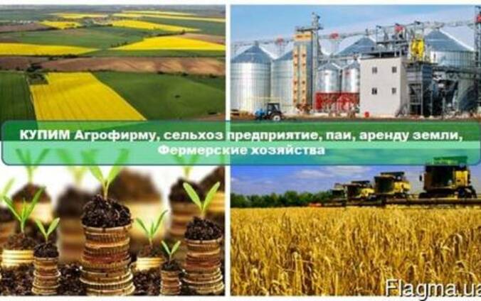 Агрохолдинги Украины | заточка63.рф