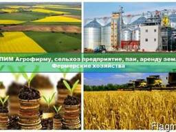 Украинский Агрохолдинг купит Агрофирму сельхоз предприятие