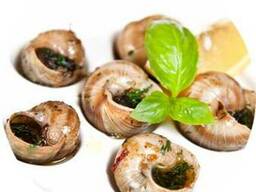 Равлики по-бургундські, 150грам