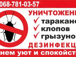 Знищуємо тарганів, клопів, бліх, гризунів у Кам'янському