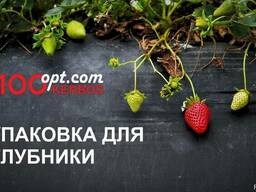 Упаковка для клубники