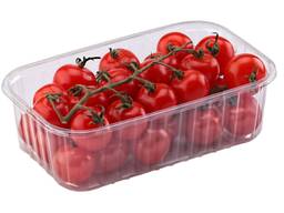 Упаковка для ягод, фруктов и овощей ПЭТ прозрачная 500 г 186х114х55 мм 1 шт (1200 шт/ящ)