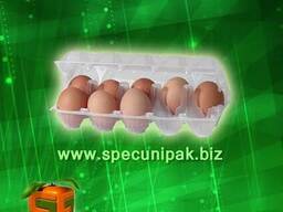 Упаковка для яиц пластиковая