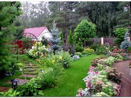 Услуги по благоустройству и озеленению территорий