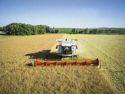 Услуги по уборке урожая аренда комбайна