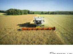 Услуги по уборке урожая комбайном зерновых сои кукурузы и др