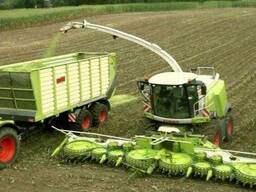 Услуги силосоуборочного комбайна с конкрекером Ягуар