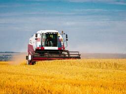 Успішні агропідприємства в Рівненській та Волинській областях