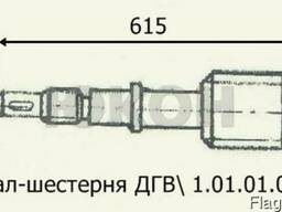 Вал-шестерня ДГВ 1.01.01.006