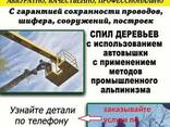 Валка деревьев любой сложности - фото 1