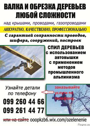 Валка деревьев любой сложности