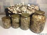 Вешенка маринованнаяпо-корейски цена за литр. Купить в Крыму - фото 3