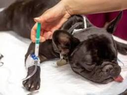 Ветеринара на дом Харьков