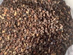 Відходи гречки органічної, біг-бег 1 тонна