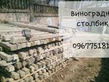 Виноградные столбы сетка рабица проволка профтруба - фото 3